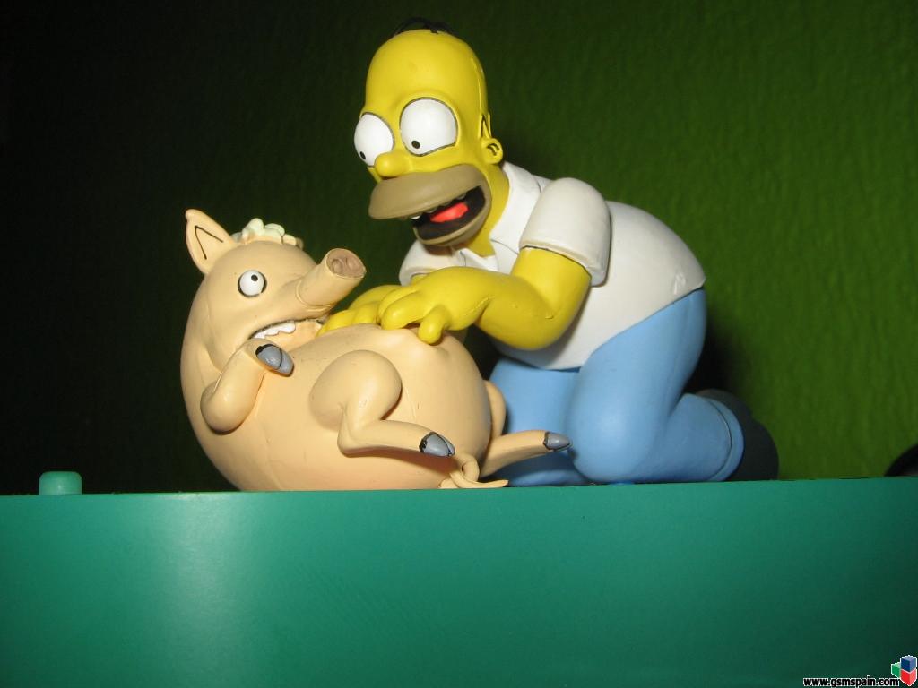 Homer i spidi el cerdo